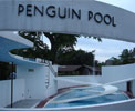 http://en.wikipedia.org/wiki/File:Penguin_Pool,_London_Zoo.JPG